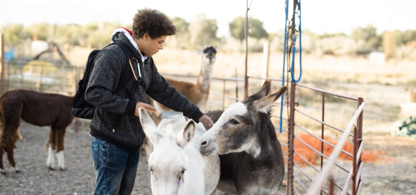 A student at Roots, an education nonprofit, tends to goats on the school's farm.